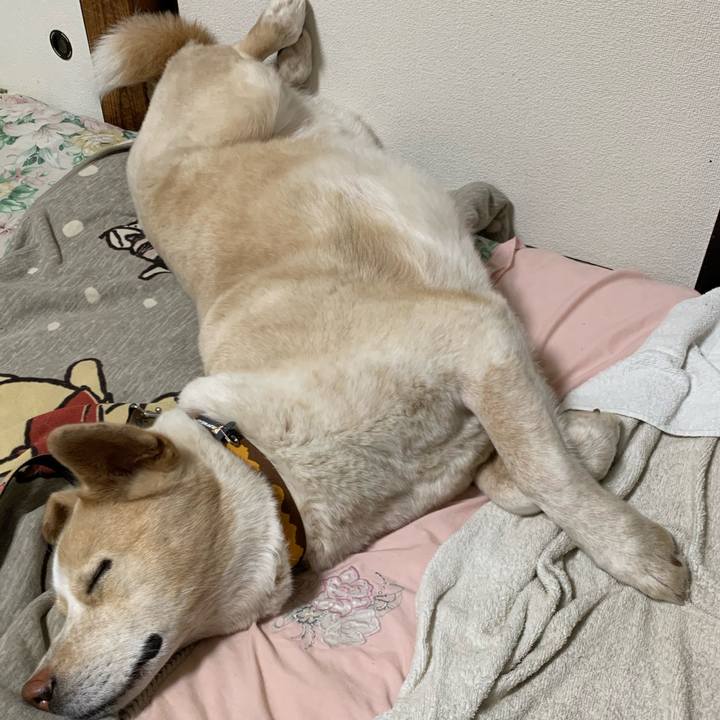 15ca3cd1 4e47 4c97 a57e a660a8afa3ca 1585756960168