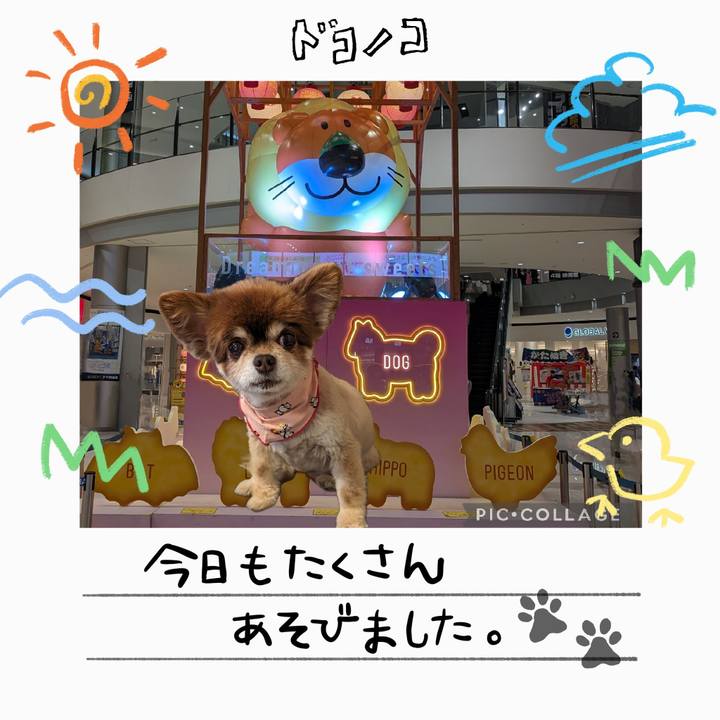 15ca55db f379 4f86 9395 05418f679fcf 1755140033627
