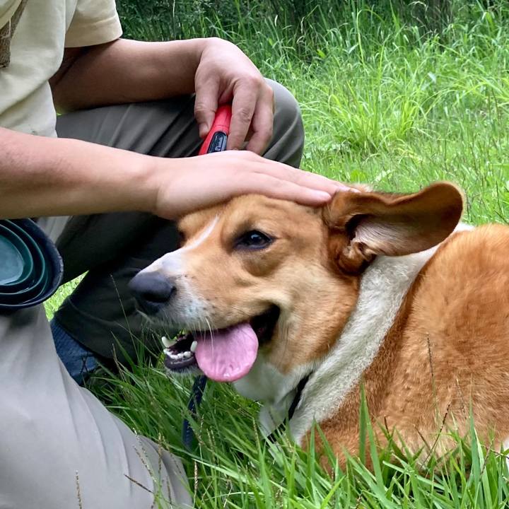 15ca6641 d3fb 4dc7 807e 2ec96eda1293 1654995335330