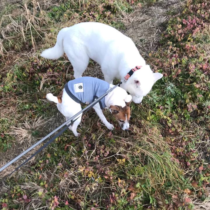 15ca8195 5a19 4c12 a5a5 ed49f39e129e 1514937619295