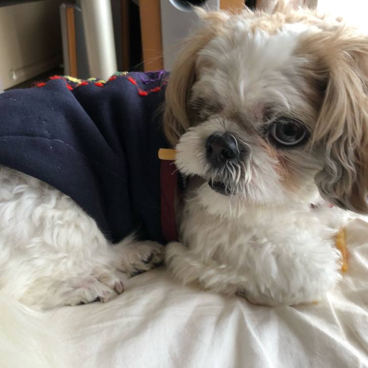 15cabf09 0faa 4e32 98b2 ce2d59e1ca44 1603662865298