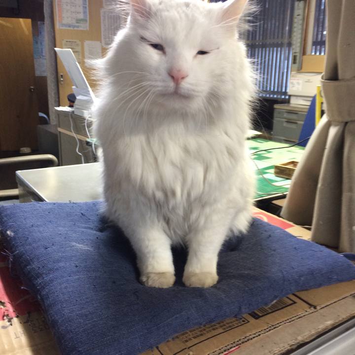 15cb1428 4ffd 4701 a619 e0d3bc6100ac 1517005489001