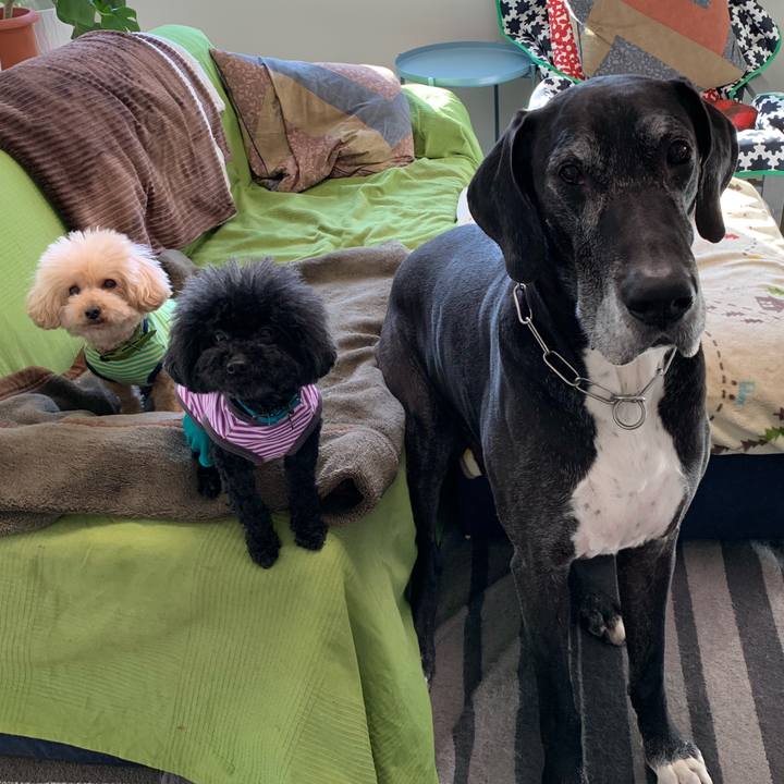 15cbab0e 4bb4 4acc bc87 11c4ac32c685 1554762769551