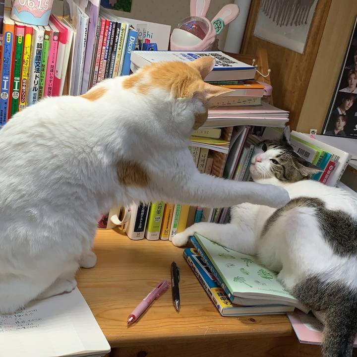 15cbc2b8 5c58 4fae 833a 77715d743acf 1606001001884