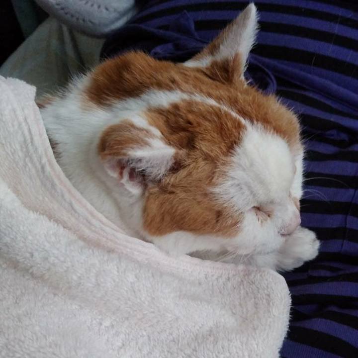 15cbcc12 78db 4325 aab5 281e122cee41 1616292889521