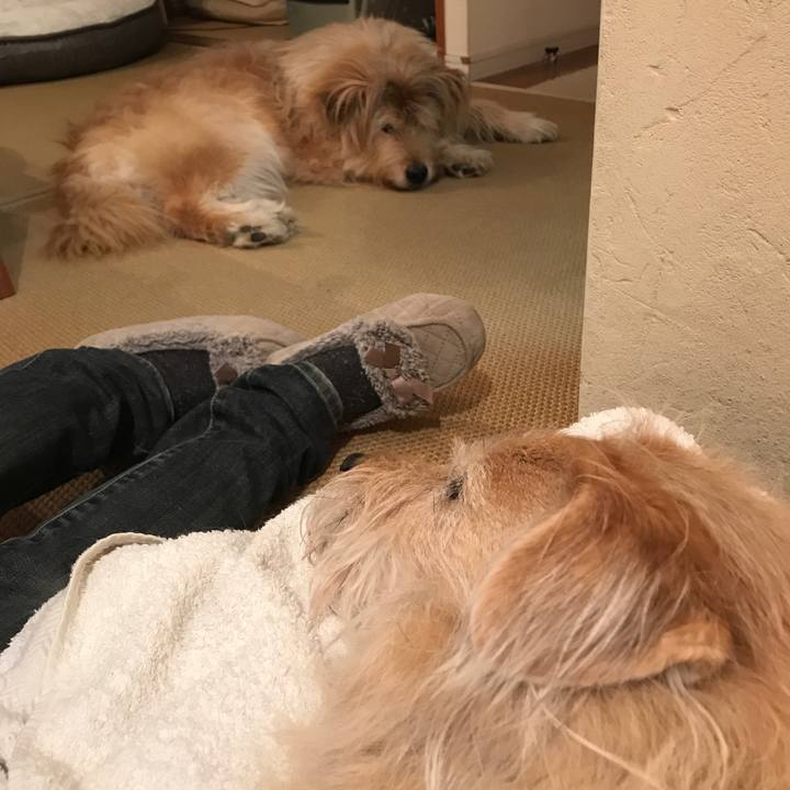 15cbcf06 9851 4b46 bbb5 b5ea41ef2fb3 1584197619448