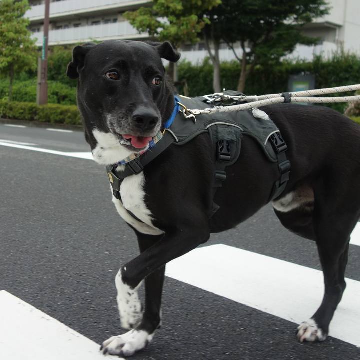 15cc3572 cbee 4088 b62c 3c528a12c555 1661817203887