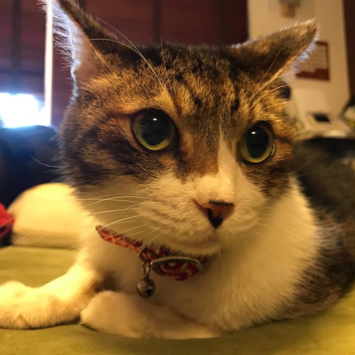 15cc4069 0dac 4838 8e18 583dfb71498b 1562660422710