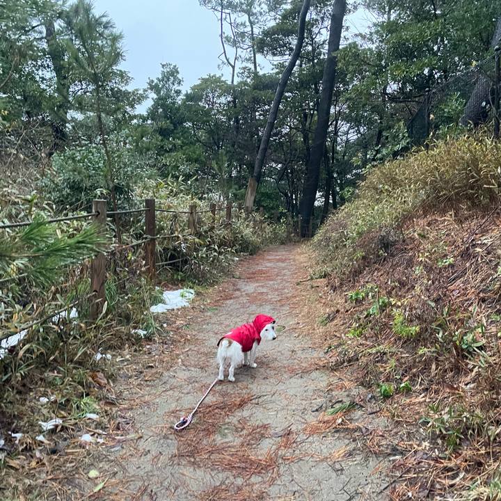 15cc44eb b986 4f71 bdba e24674e067f1 1767568329443