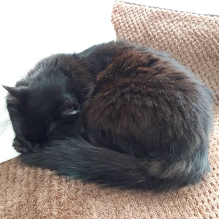 15ccbe71 aefa 40f2 befd 4ee35af6c2fe 1518920825663