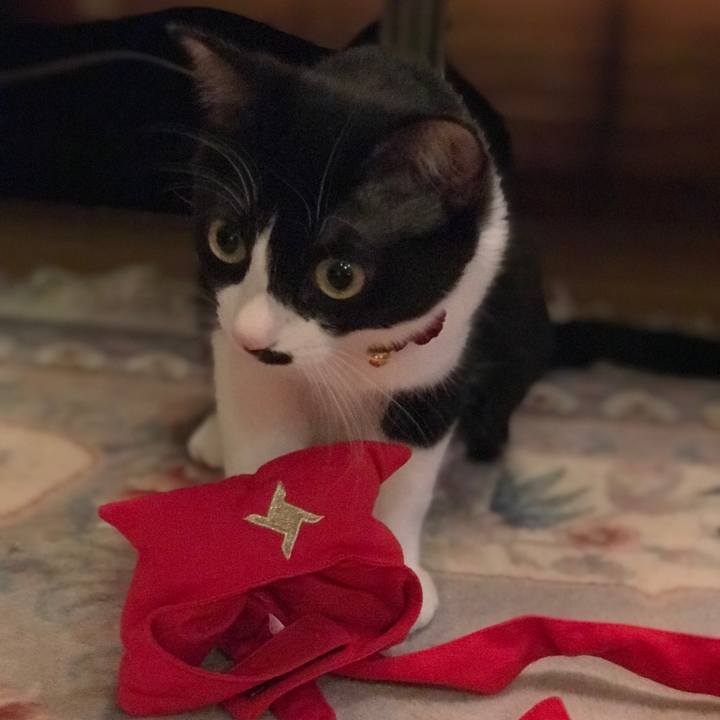 15ccc069 d451 4824 ba62 de092ead4861 1518495667344