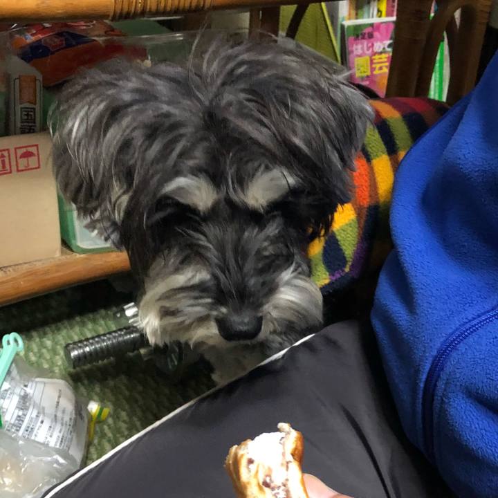 15ccc14f aab0 410f 8a8a 3707b4342cc9 1518189232615