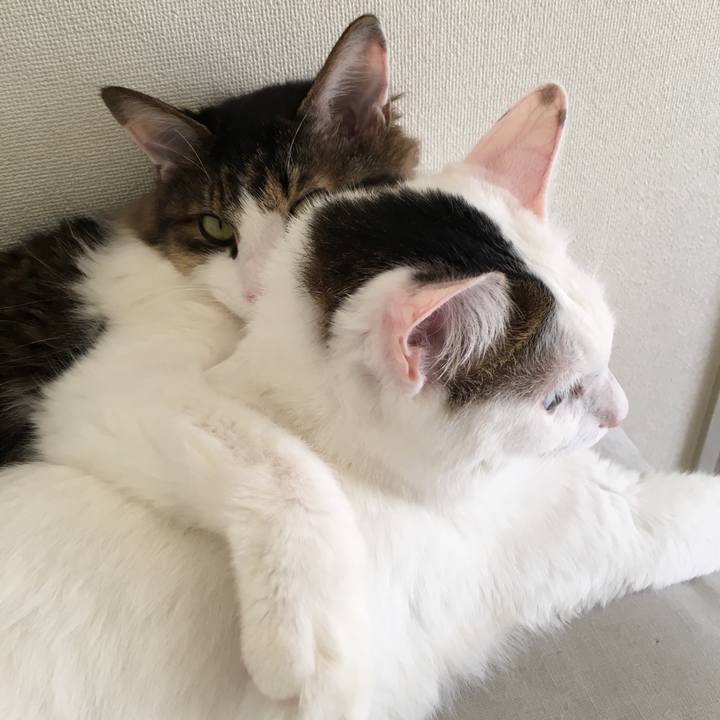 15ccc3e8 492f 403d b54d 5d7ca8e8e569 1541727897540