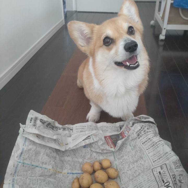 15ccf443 7d2c 4fc4 8920 9545fe582df4 1657608831043