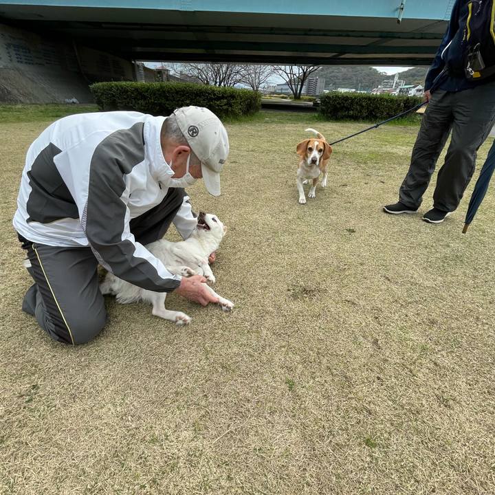 15cd8e3f e914 44b0 8014 a9cc4fe96a8d 1678967587552