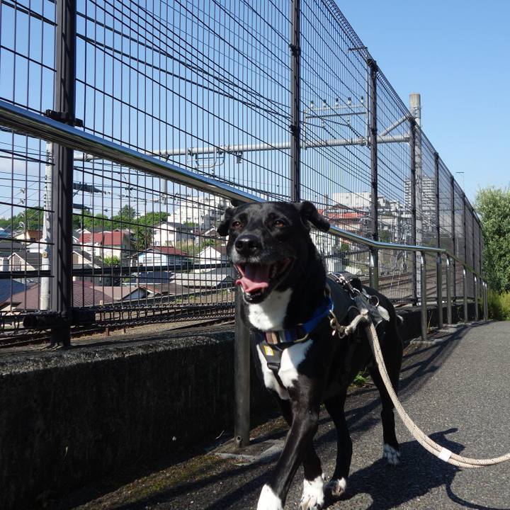 15cd96a9 ec7f 4f89 9576 ebc8b96518fb 1651541823793