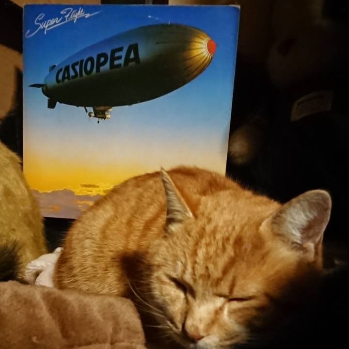 15cda6e6 7e64 4ccd 8316 1cae6d3cb94f 1608029732984