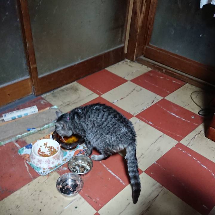 15cda743 165b 4dba 92e1 88008d6b9225 1578084760542