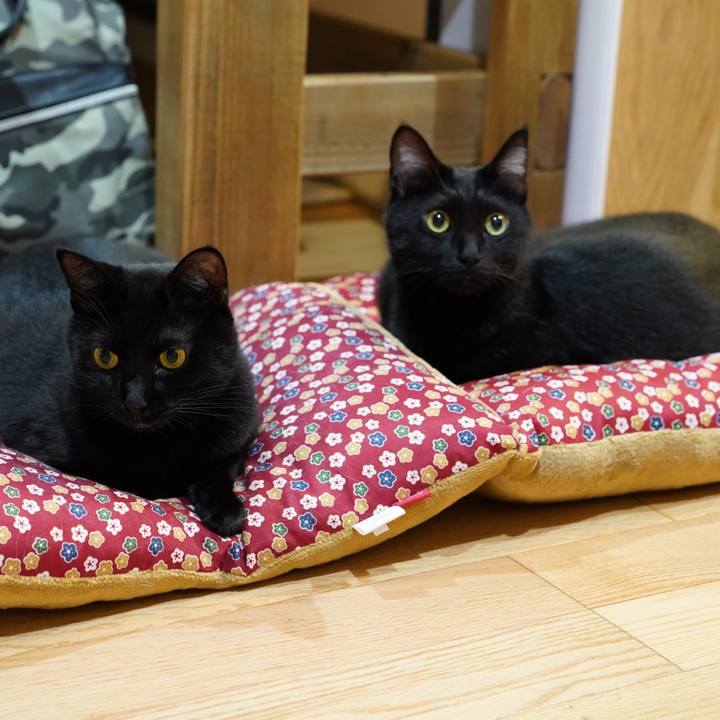 15cdbb18 0b14 47a5 988c 7585110d1b05 1572790916990