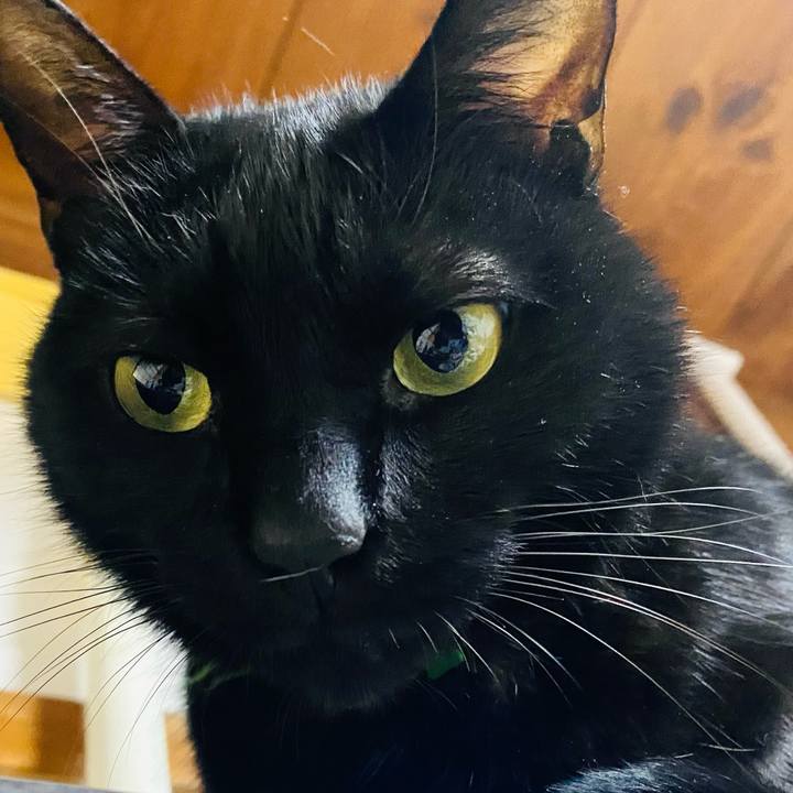 15ce1265 eaed 4fc1 b7a6 e97d77a14344 1734709994938