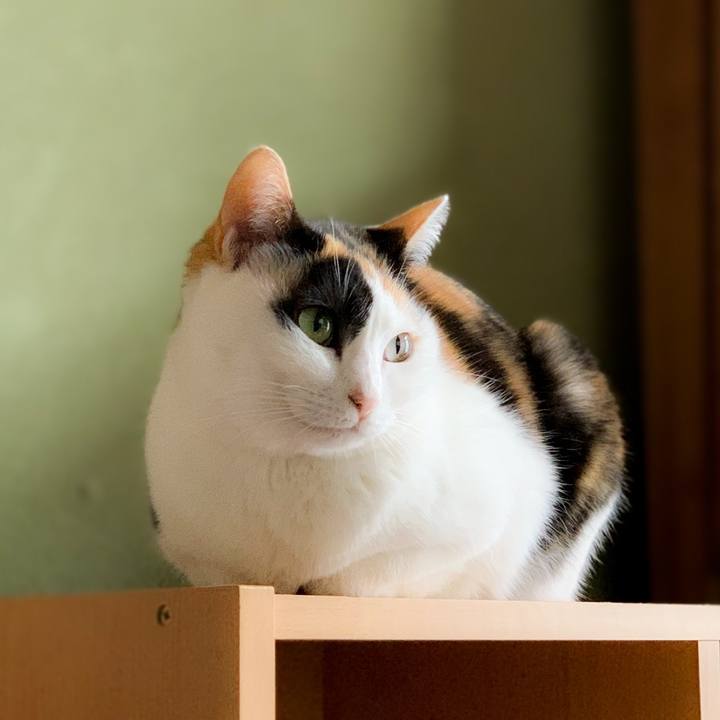 15ce2456 ef09 434b 9f62 0c3fd73a6618 1587692472763