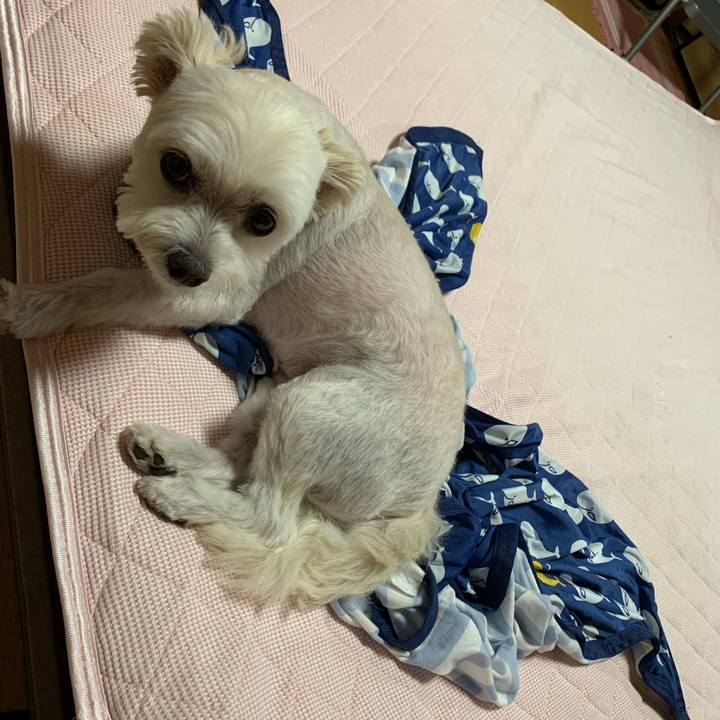 15ce6a86 d3e9 4b61 b87d a69e24a60dcf 1628602481331