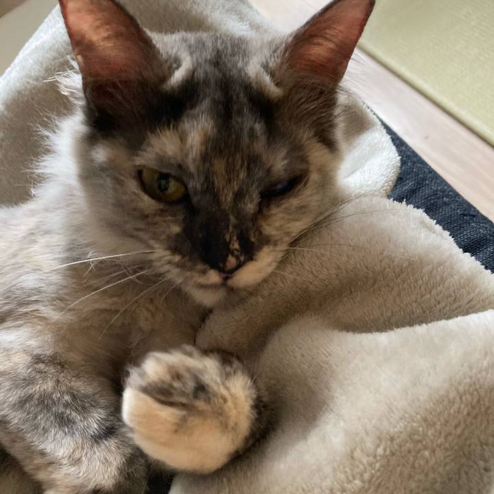 15cecf43 b399 4d1f ad1c d89233111aa7 1708836905345