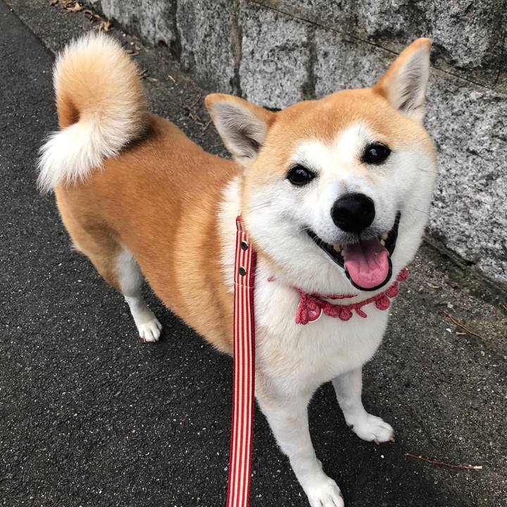 15cee2e1 9b91 41d4 97ce ed85d40bb30f 1562409055706