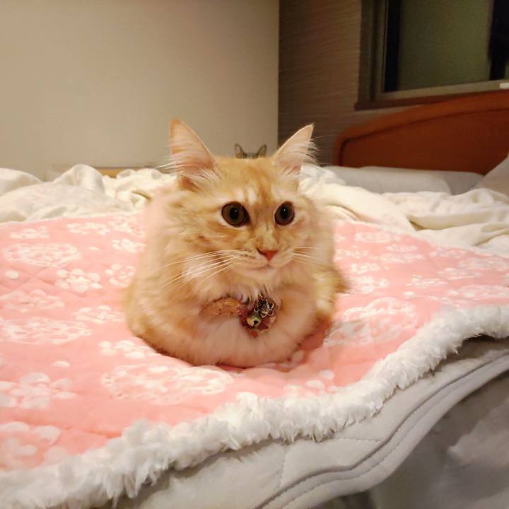 15cef573 f10d 4064 af3b c271dd1b400f 1697282821204