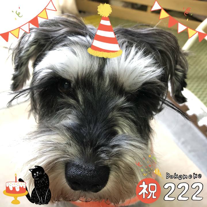 15cef625 57a7 4d02 ad3d dba2a126981a 1645528444410