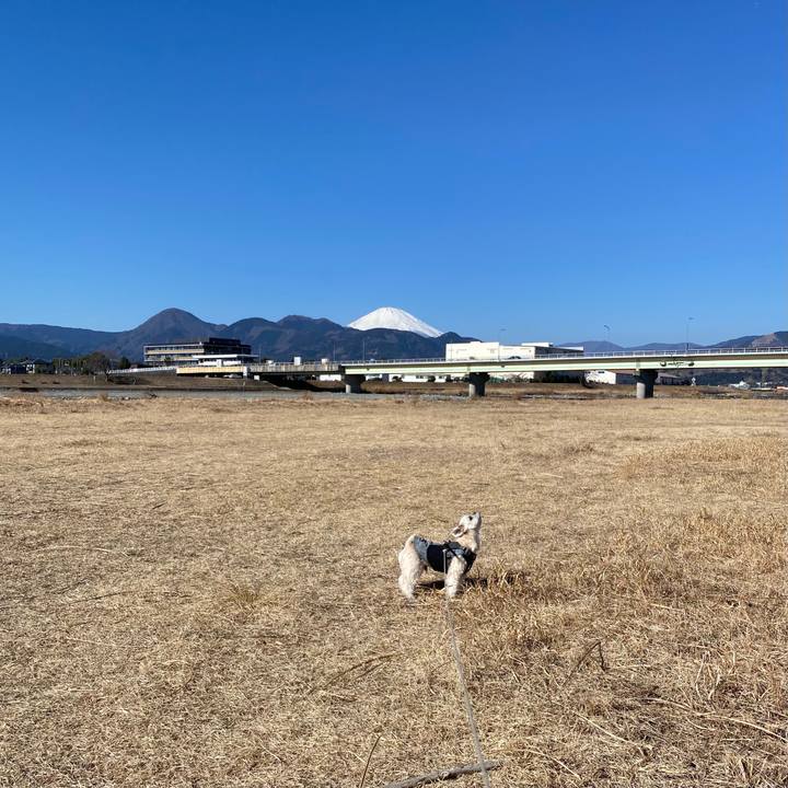 15cf0f83 6107 407e ac44 8c3a70958539 1613818077204