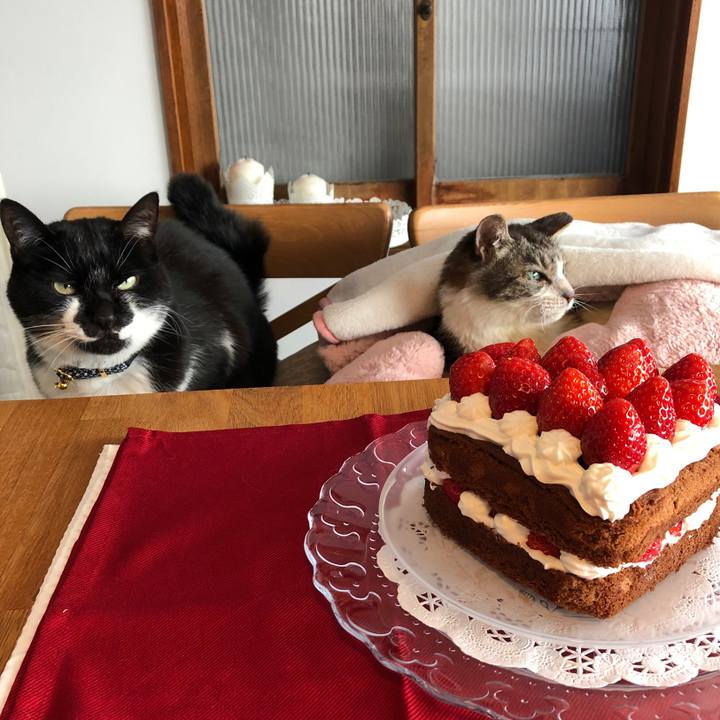 15cf1bbb 37b9 4a47 8b97 325a41a1e7db 1550113436083