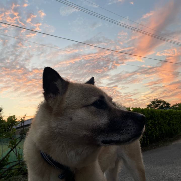 15cf38df 035a 49bd 828a ad33619d754c 1689941175875