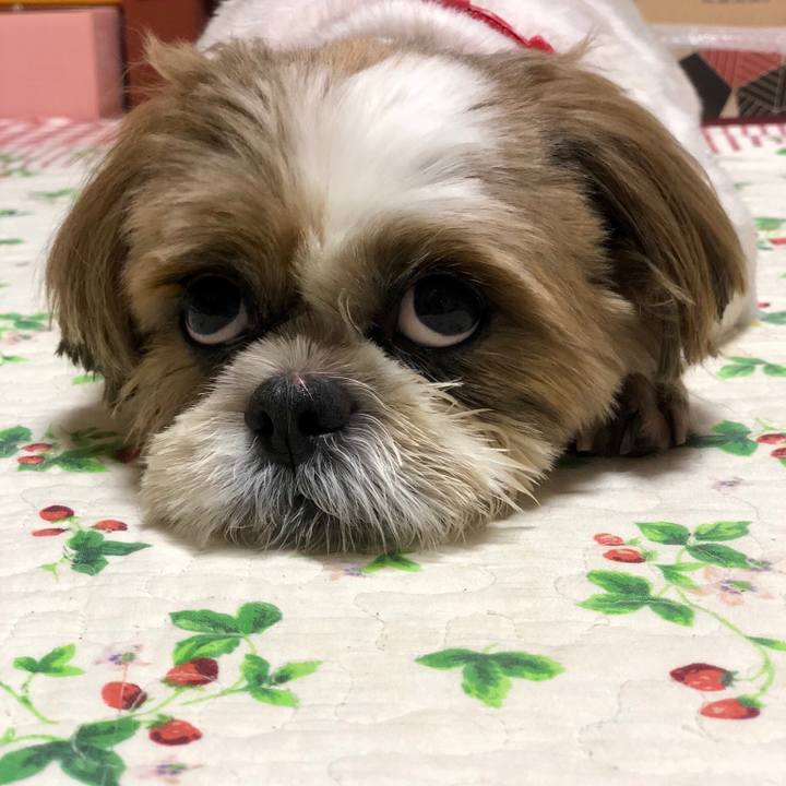 15cf787f 8a2b 4f80 b52b 35e7fb27f011 1536061717436