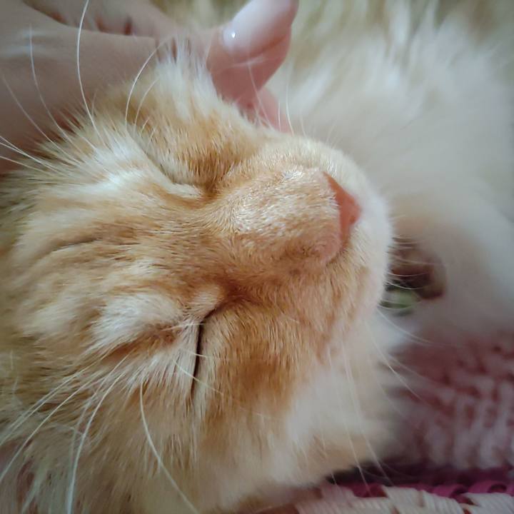 15cf8000 8c42 45e4 8532 04f1c75bb560 1691452179046