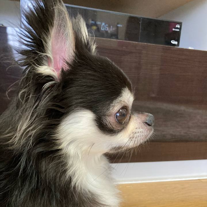 15cf9148 e718 4f6e 88f0 b9c6cf143699 1662792132237