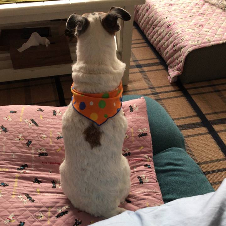 15cf9b9f 7eea 4756 b608 185c37c1df8d 1527044608481