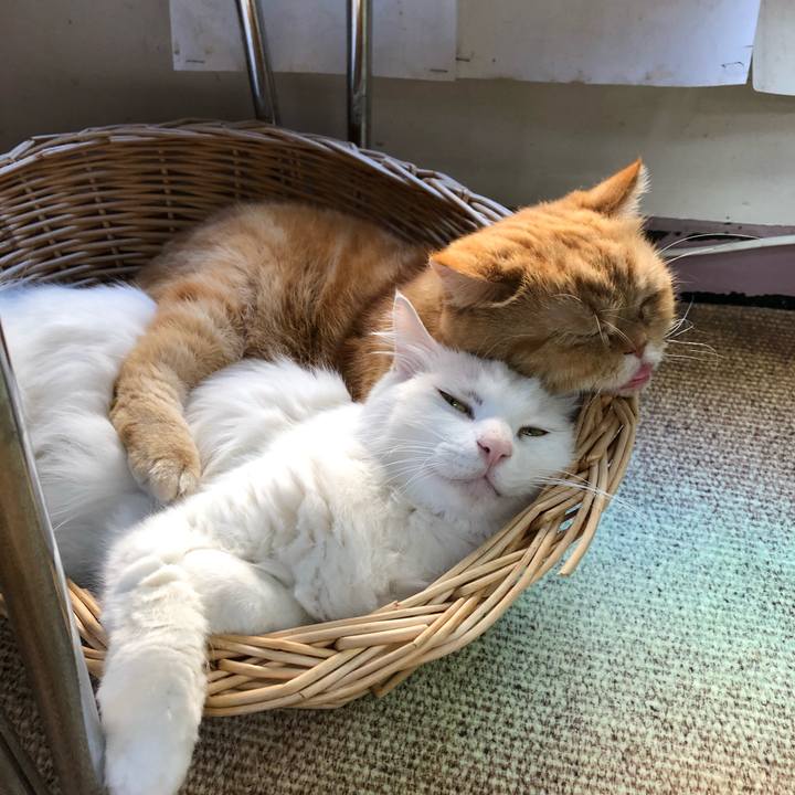 15cf9cee fcce 423d 8e3b 02a42cb94f58 1645490410854