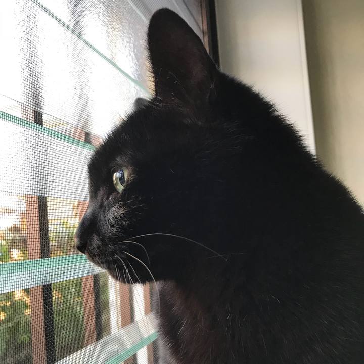 15cfb819 362b 4a86 b11e 7ee0b1475475 1519953637960