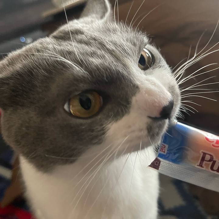 15cfba7b 777d 440b a30e a711f3857ecf 1670222931066