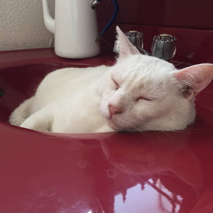 15cffe08 5da4 4a20 9996 1637f08c180d 1533510072260