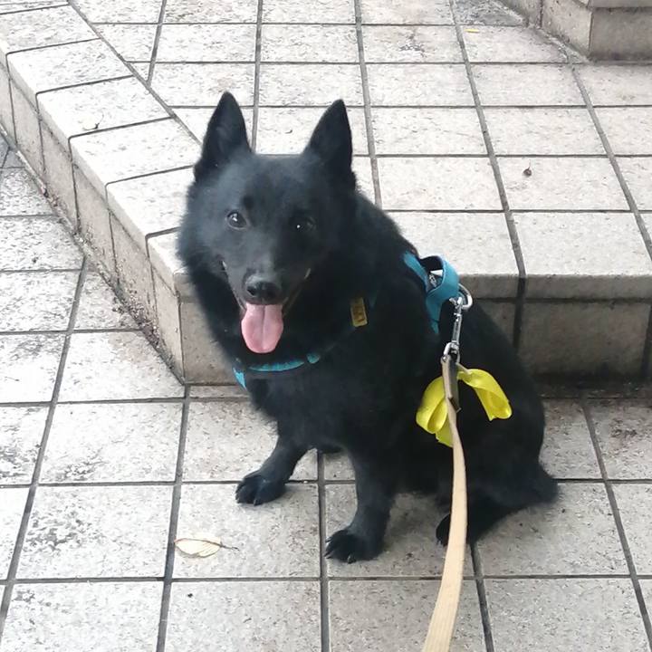 15d02233 d60f 4c52 89f1 1f5db28cae36 1657835073191