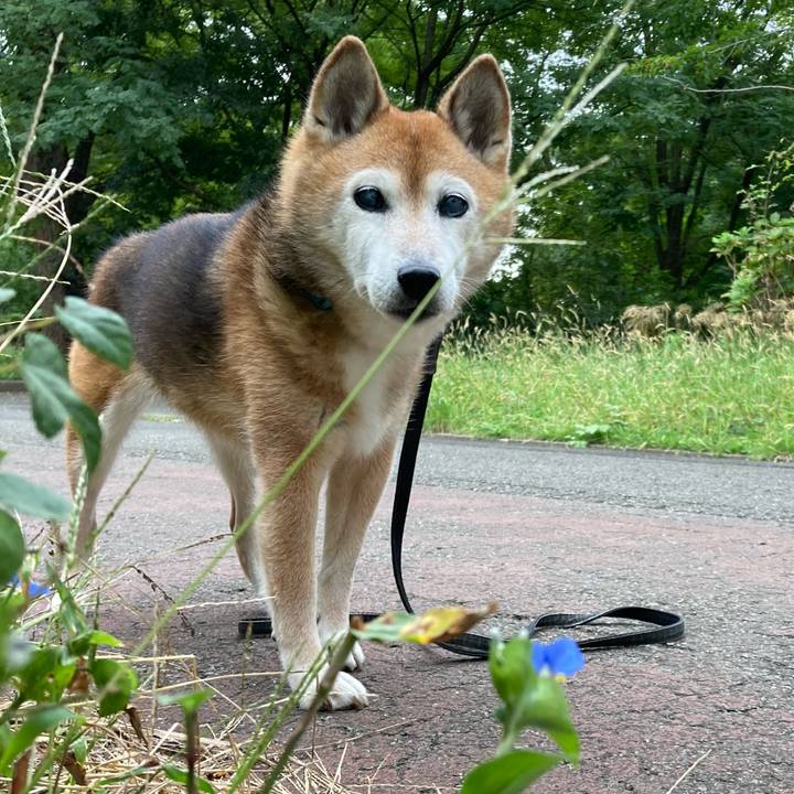 15d0303e 055f 4d4f a21c 0cb47e11aba7 1759827377558