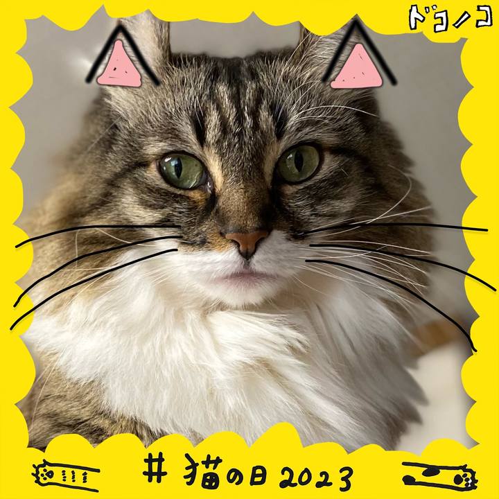 15d0628e 30d4 488b aa22 2b7d9b5e17df 1677033909804