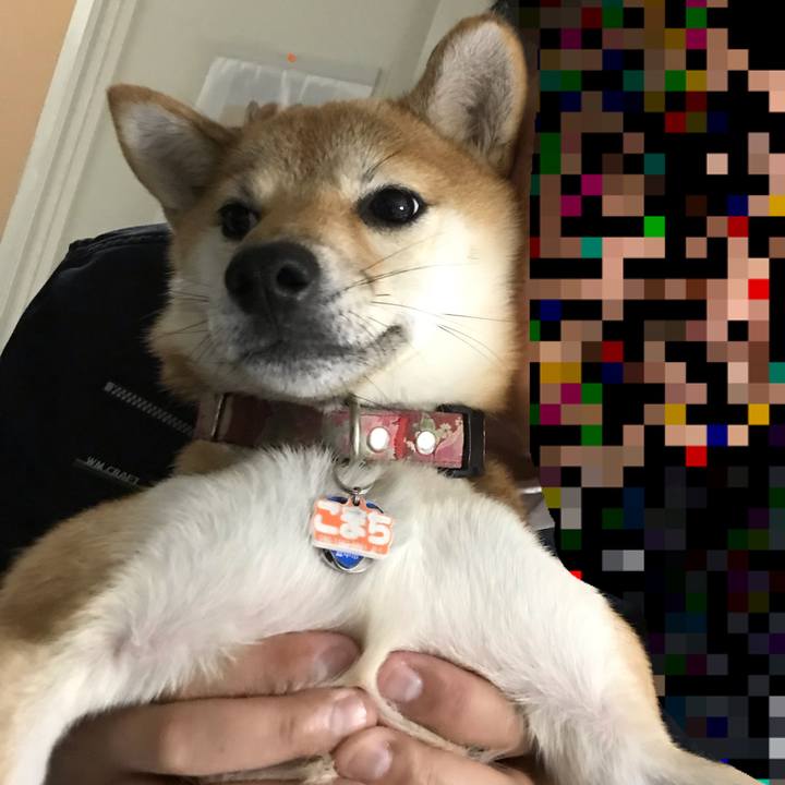 15d0660c 4046 4cc7 8f9c 2788d255212c 1543213553513