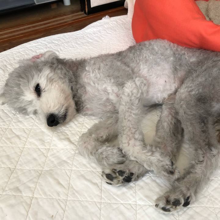 15d06d48 4ef8 41d9 b67d 1de3dac0c980 1566093511495