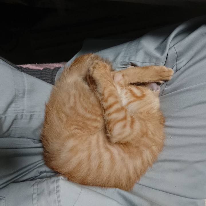 15d07656 62c6 421b 98af e998f9365d0a 1630487887879