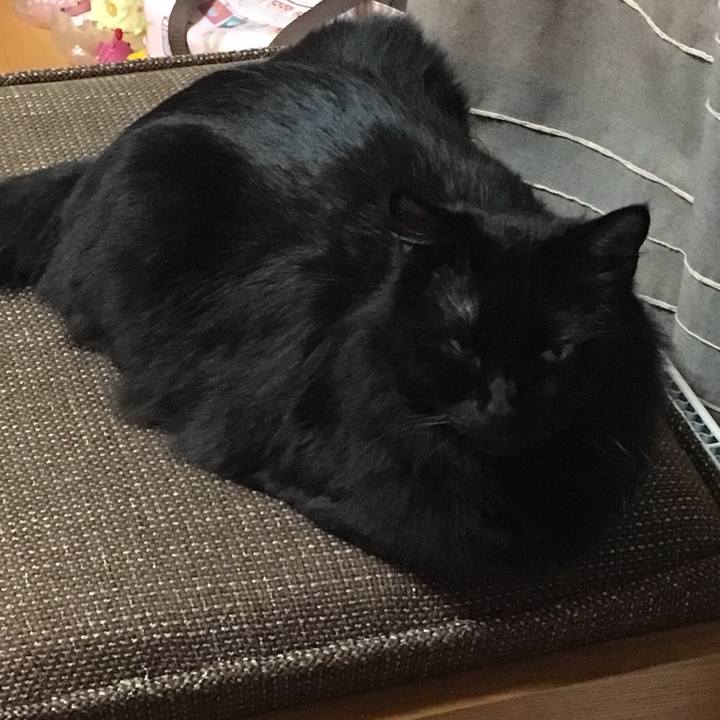 15d0ebd7 95ed 4710 8562 d9c04afd54e5 1516972745358