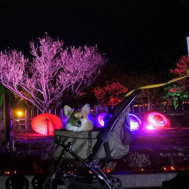 15d10a25 387f 4f81 98d4 c1c068e7e776 1649073604513