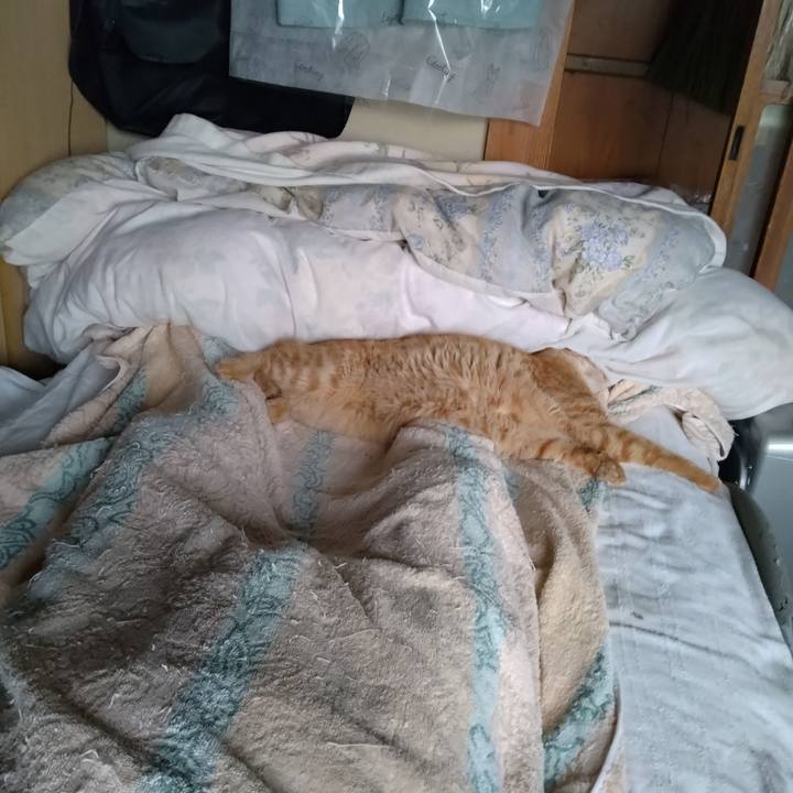 15d1231d d6c4 439b b1e8 378649b2c3d0 1691883463342